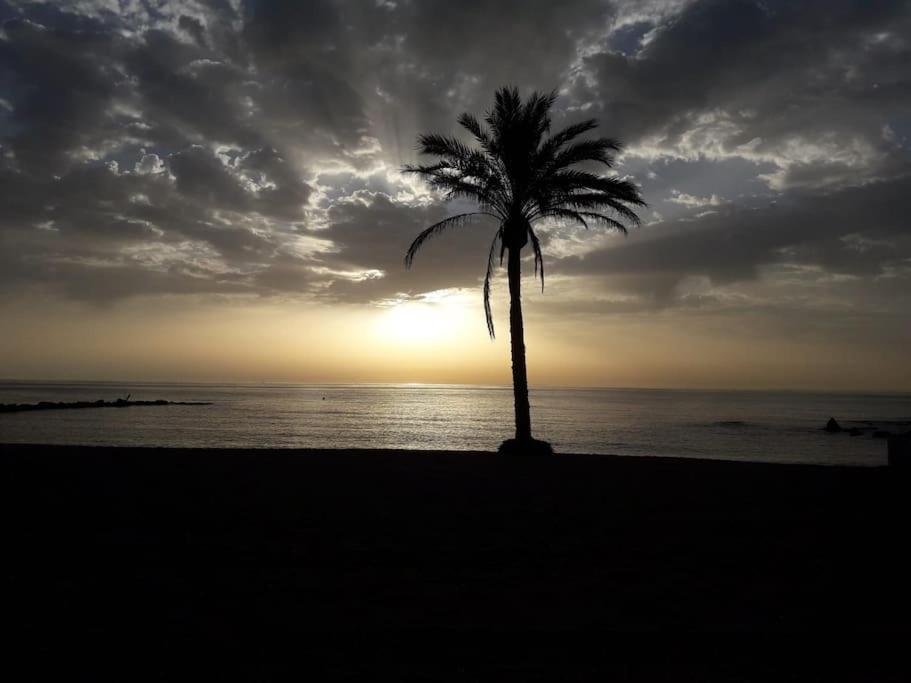 Central Estepona 3 Bed Apt With Pool And Parking エクステリア 写真